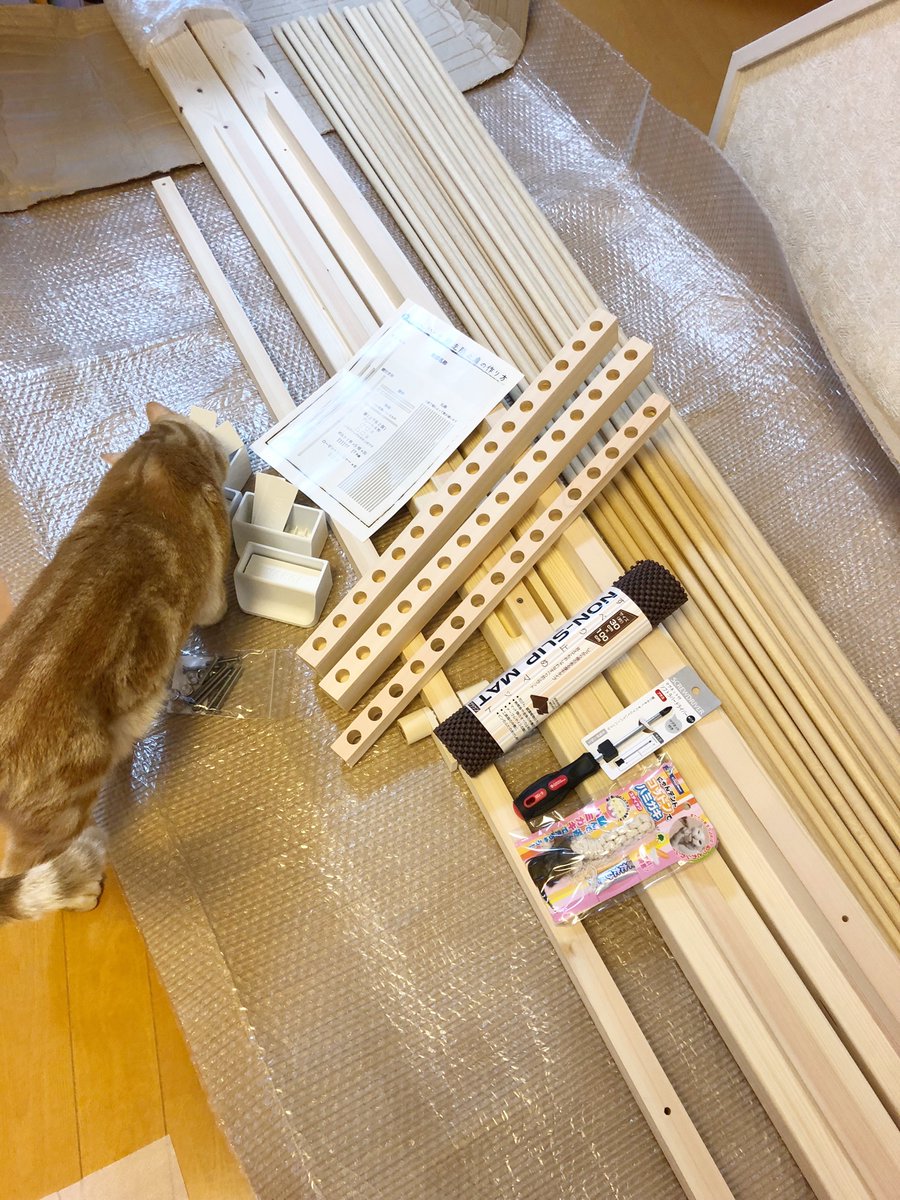 にゃんがーどの組み立て部材と説明書を確認する猫