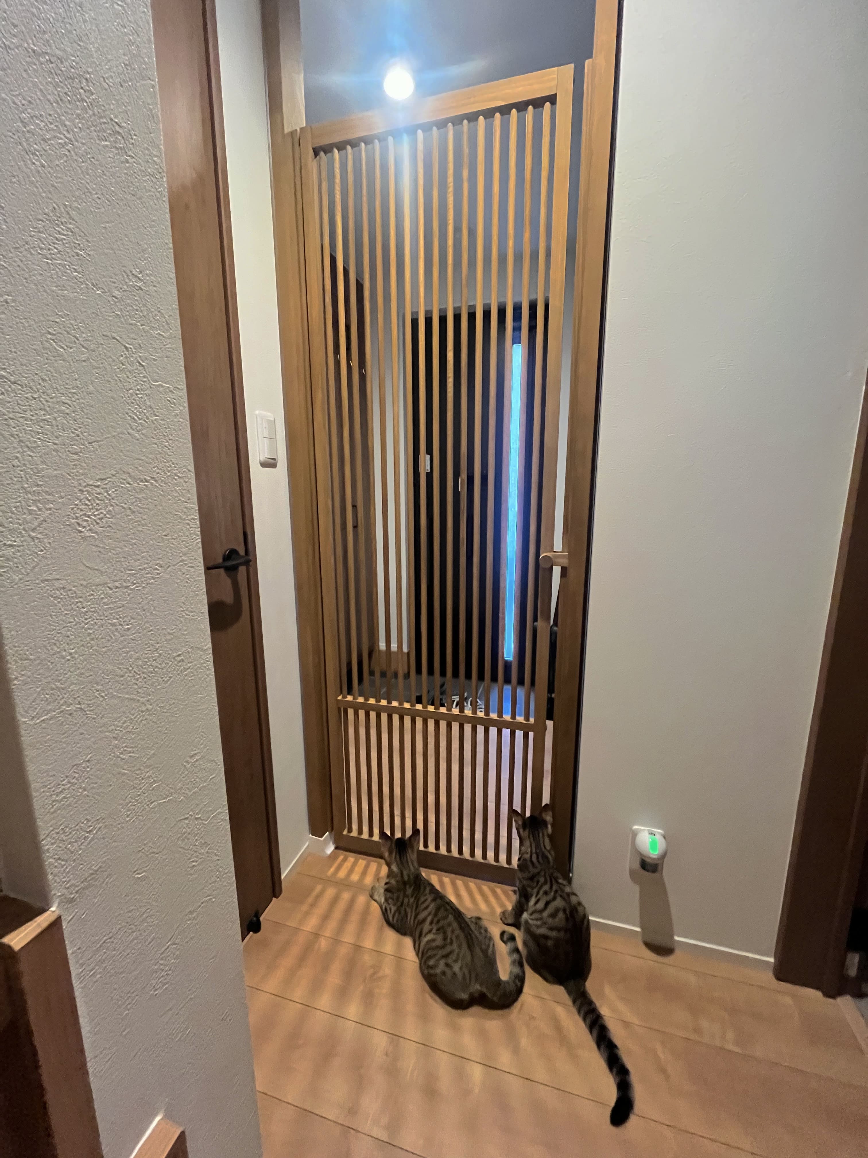 お客様がご自身で塗装されたにゃんがーど