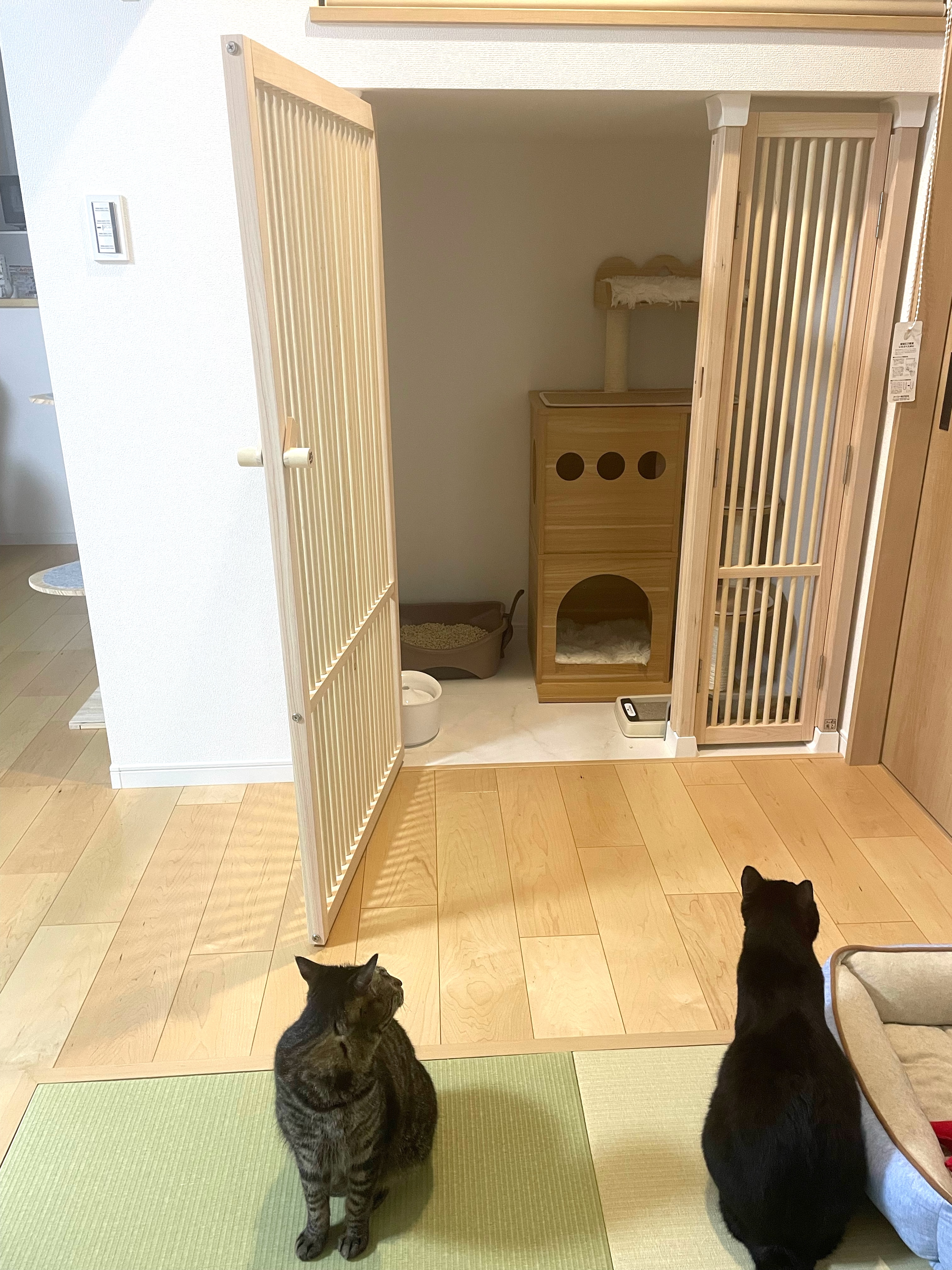 室内のキャットハウスに設置した格子扉