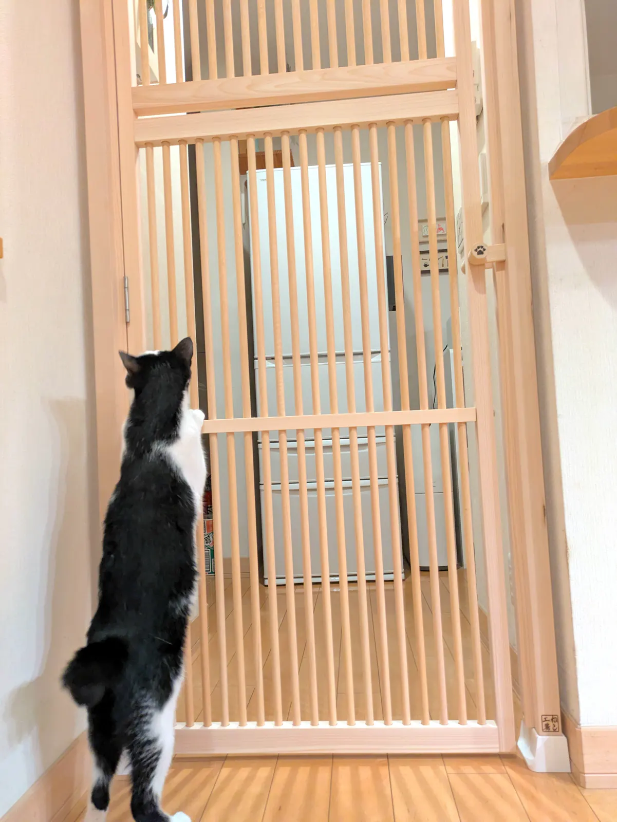 ハイドアの格子に前足をかけて立つ猫