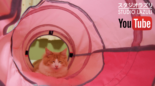 ねこ専用脱走防止扉【にゃんがーど】 u2013 猫の脱走防止専門店ねこ工房