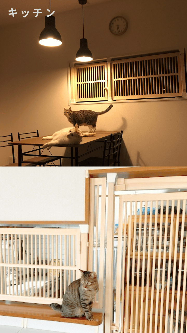 にゃんがーど設置例（スマホ）