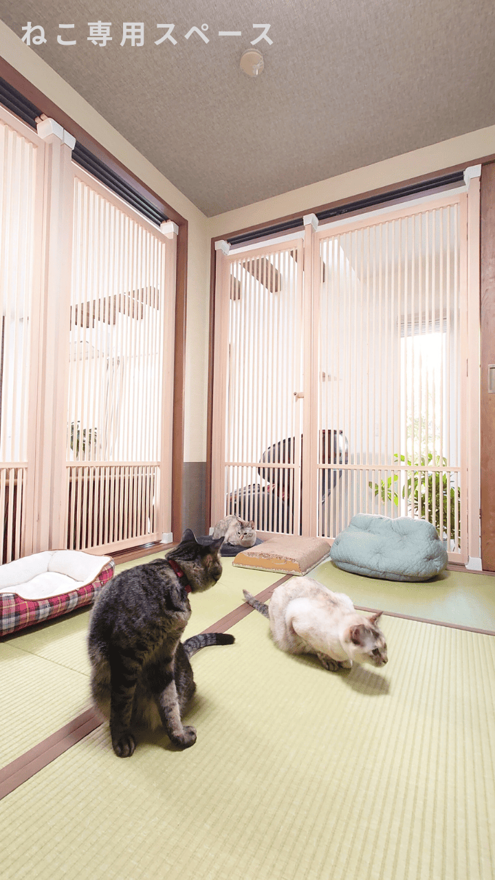 にゃんがーど設置例（スマホ）