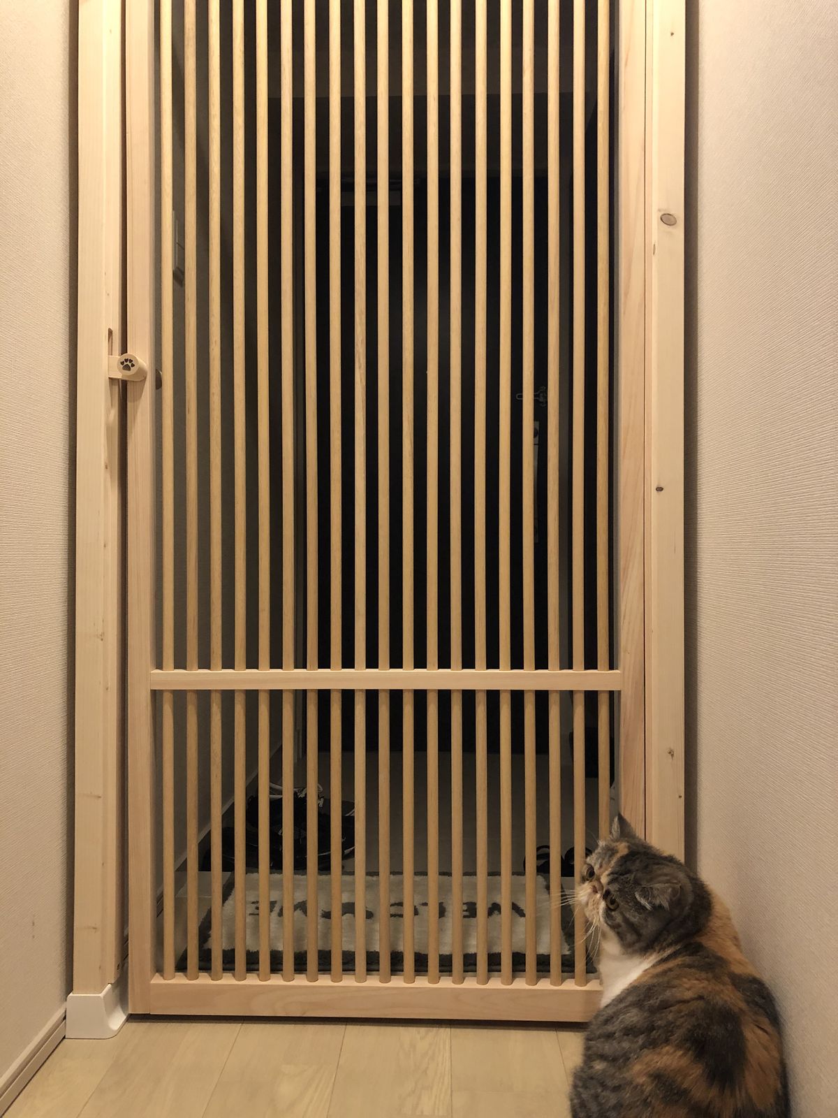 廊下の格子扉の前に座る三毛の猫