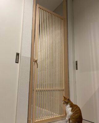 ♡猫脱走防止パーテーション♡引き取りorヤマト便♡ 小動物用品 日本割引品