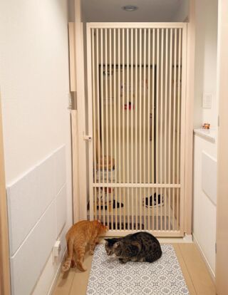 猫の脱走防止専門店ねこ工房 – 猫も人も快適に・・・