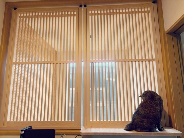 玄関の吹き抜けの上（2階）から家族の帰りを楽しみに待つのが習慣の愛猫です。

今まで吹き抜けから落ちることはなかったのですが、最近眠り込んでバランスを崩して2度も落下。

着地の際に足も痛そうにして、鼻をぶつけて鼻血も…

10歳を過ぎて早急な安全対策が必要だと感じて、1日も早く安心して家族を待てるように対策してあげたいと探して辿り着いたかのが『ねこ工房』さんでした！

吹き抜け部分のため窓枠よりサイズも大きく、どのタイプが適しているか、柵だけではなく帰りを待てるよう日向ぼっこ台を付けられれば…と、我が家の愛猫のために何度も何度も検討を重ねていただき、最適なものを作っていただきました！

他社と比較しても、ねこ工房さんはクオリティは高くお値段はとてもリーズナブル！

迷わずねこ工房さんを選びました。

もう家族を待ってぐっすり眠っても安心！
人にも猫にも優しい気持ちの良い木の材質で、家族も愛猫も大満足です。

最高の防止柵をありがとうございました！

(S様からいただいたお写真とレビューです) 

#ねこ工房
#にゃんがーど
#脱走防止扉
#転落防止
#ニャルソック